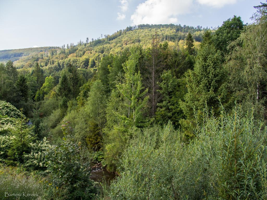 Mala Osada Z Jacuzzi Przy Gondoli